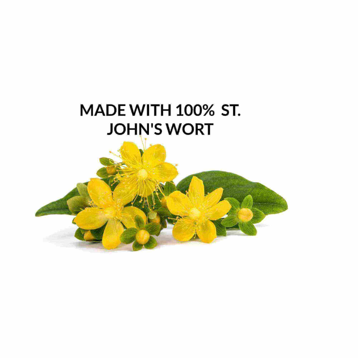 st - johns - wort - and - arnica - oil - erinsherbs